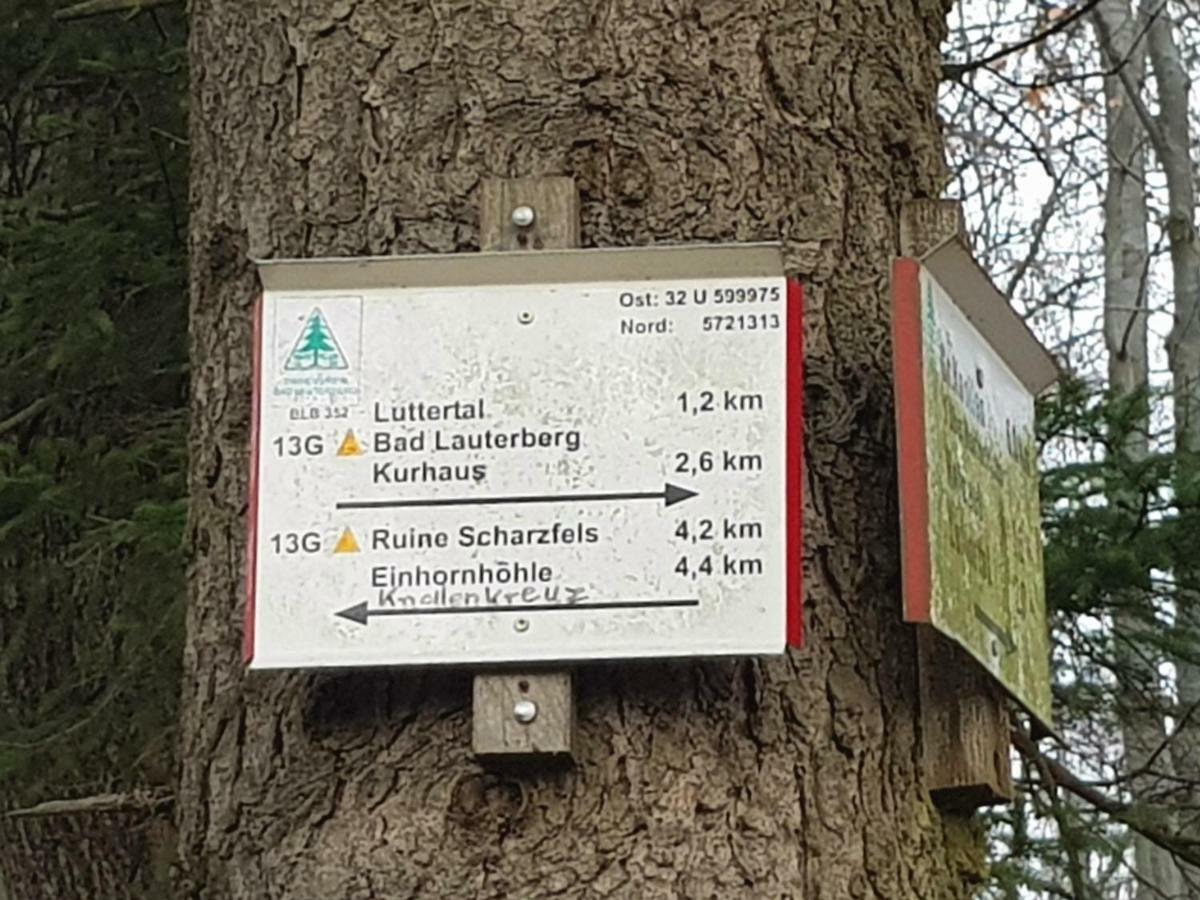 Ferienwohnung "Hagebutze" Mit Sauna Und Schwimmbad Bad Lauterberg Exterior photo