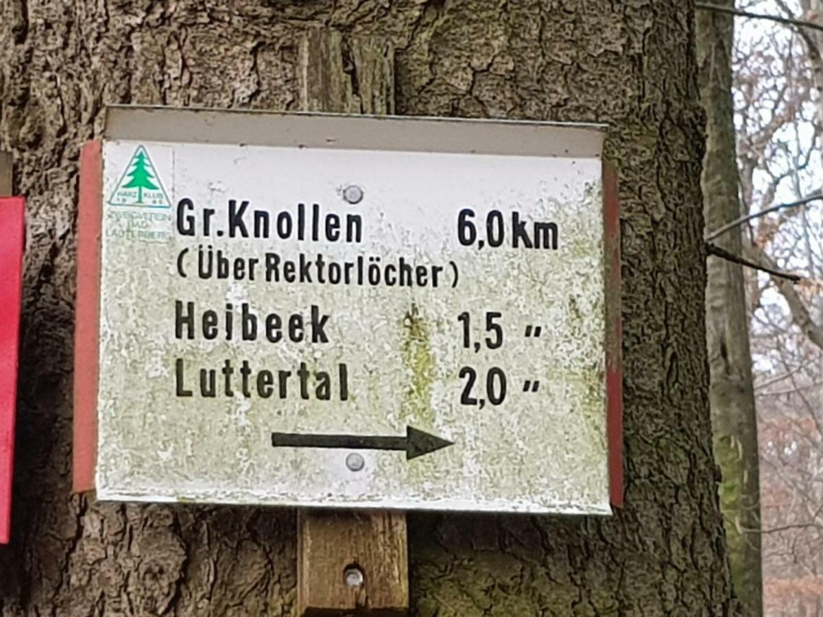 Ferienwohnung "Hagebutze" Mit Sauna Und Schwimmbad Bad Lauterberg Exterior photo